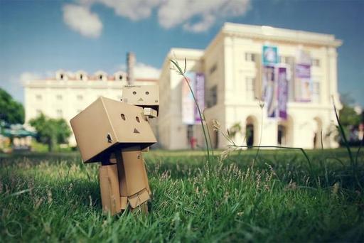 Обо всем - Danbo или новый тренд картонных человечков